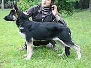 Эст Бриз Алания